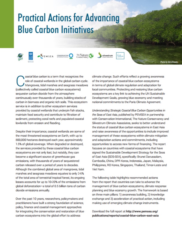 Practical Actions for Advancing Blue Carbon Initiatives
