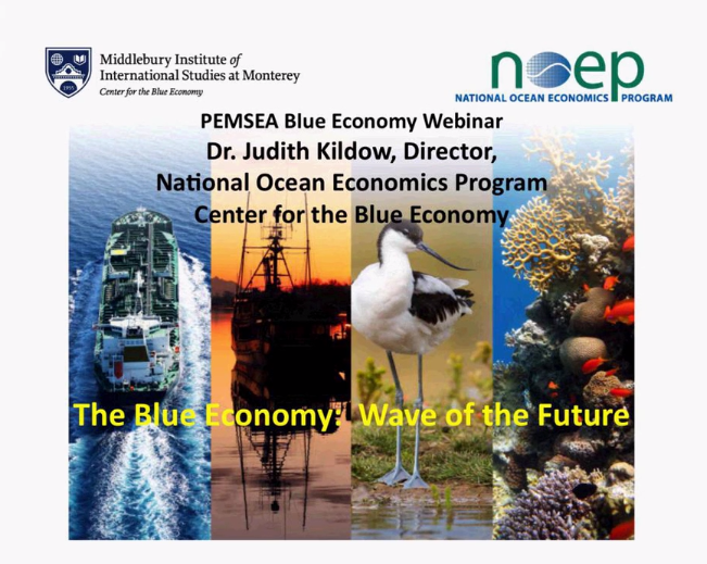 Webinar on the Blue Economy Making Waves in a Gathering Storm