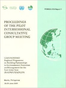 Proceedings of the Pilot Intersessional Consultative Group Meeting