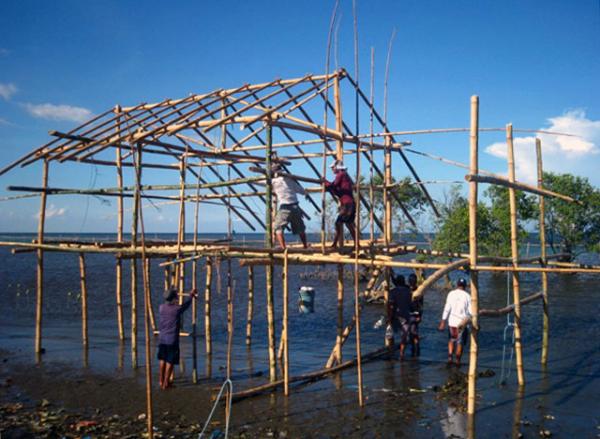 Of Prawns and Mangroves: Green-mindedness in Orion, Bataan
