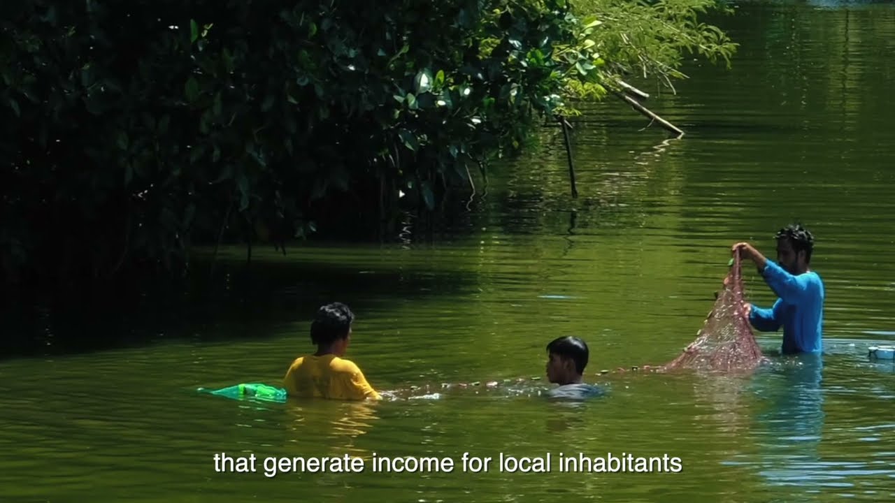 Planting forest in the Ocean