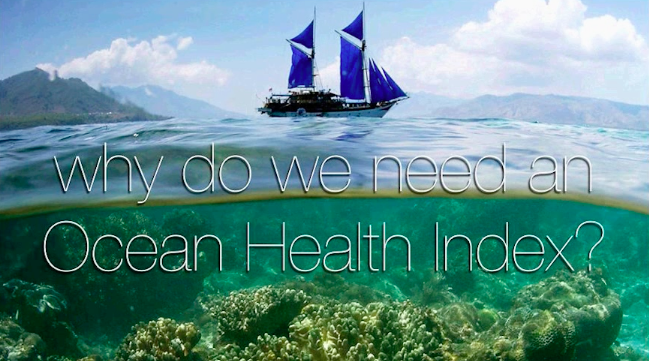 Blue Economy Webinar Series Measuring Ocean Health for Sustainability