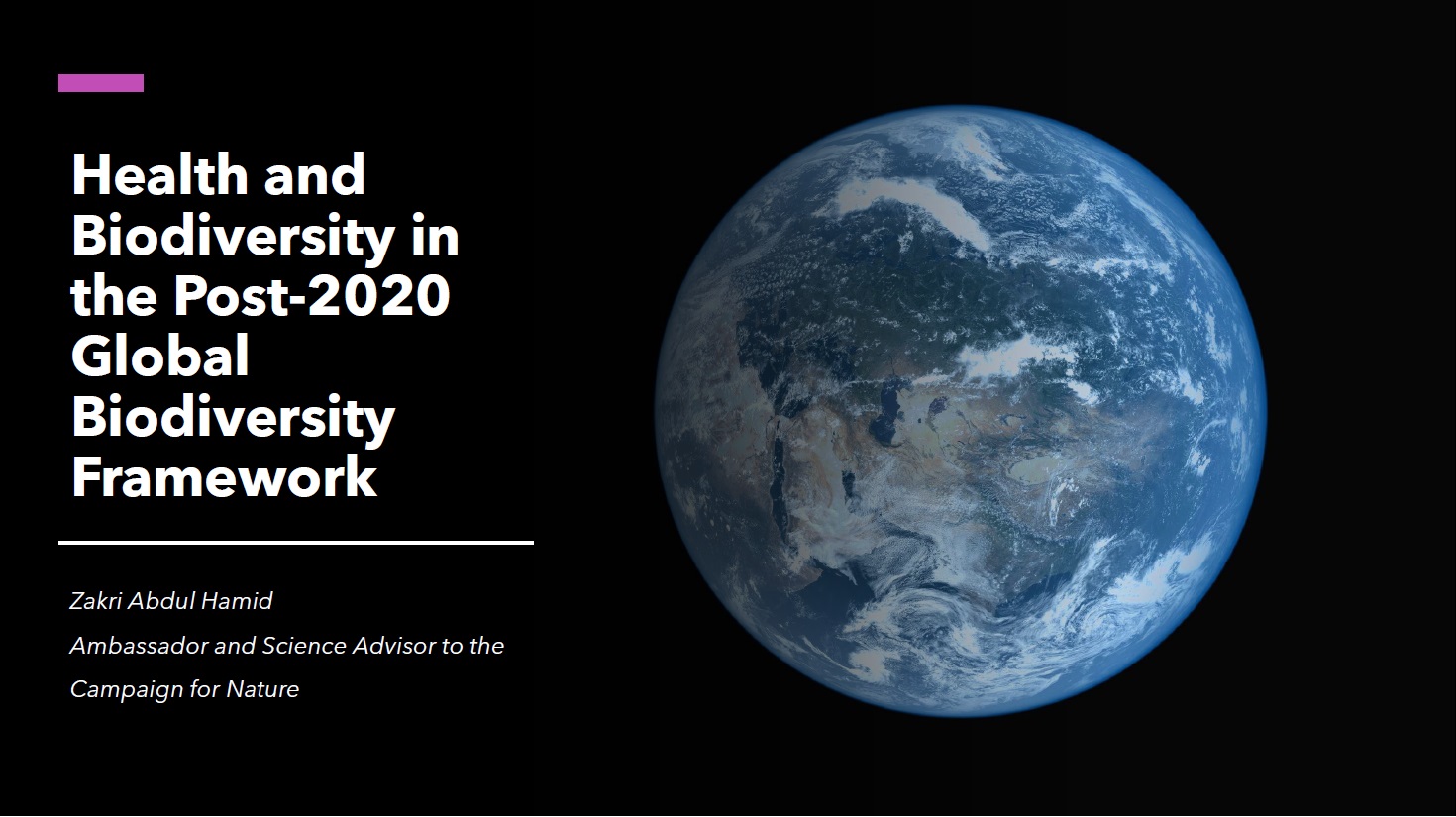 Health and Biodiversity in the Post 2020 Global Biodiversity Framework