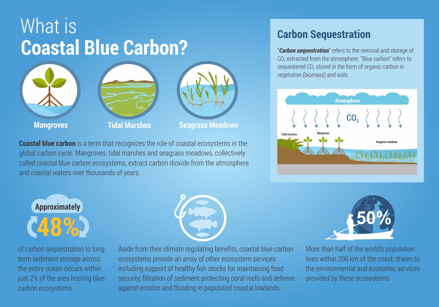 Infographic Coastal Blue Carbon