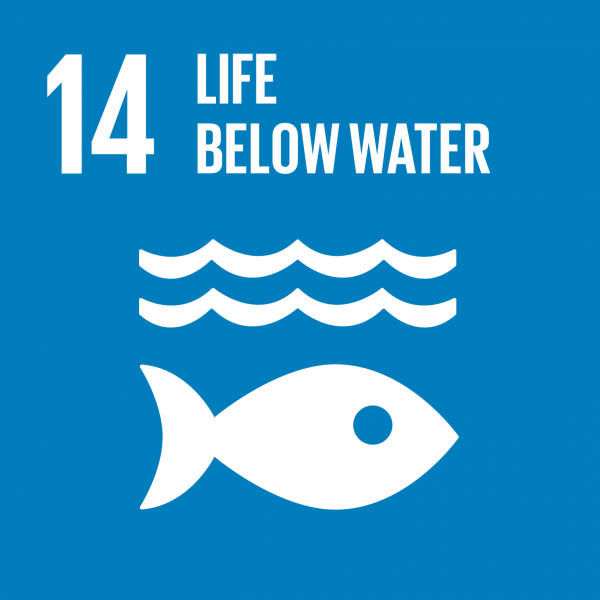 Accelerating action on SDG 14, the ‘lagging’ SDG