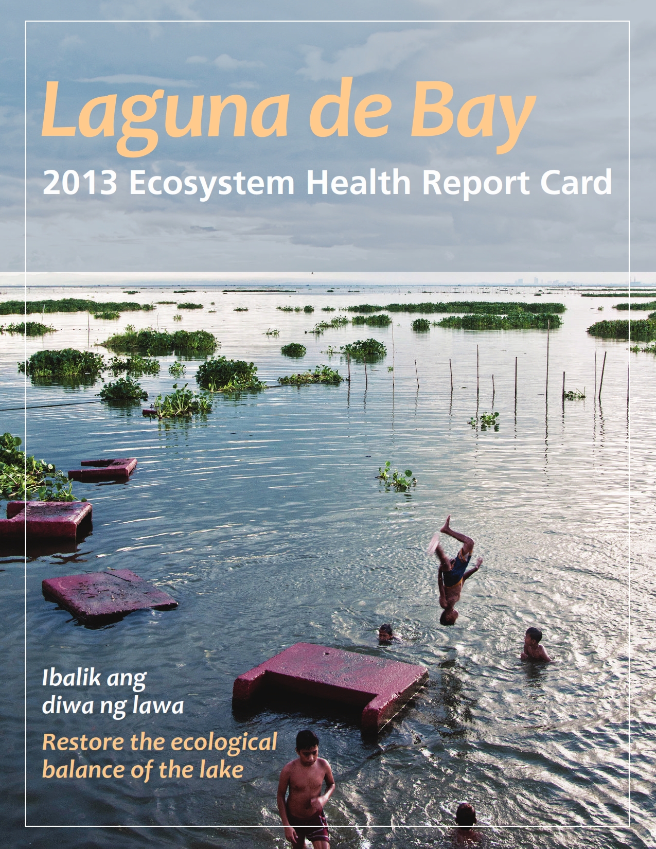 Laguna de Bay 2013 Ecosystem Health Report Card