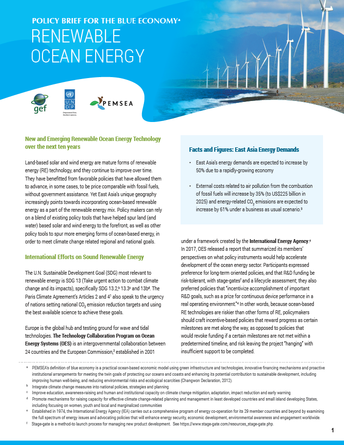 Policy Brief for the Blue Economy - Renewable Ocean Energy