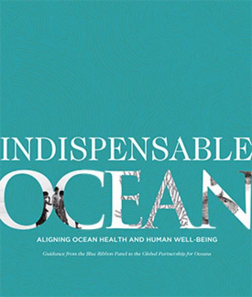 Aligning Ocean Health and Human Well-being