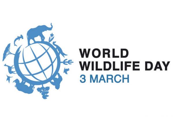 March 3, World Wildlife Day: Getting Serious About Wildlife Crime