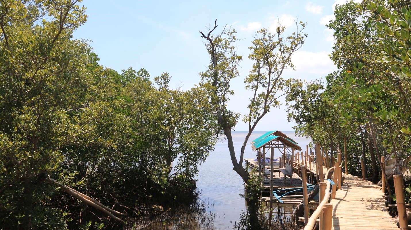 Pulo Mangrove