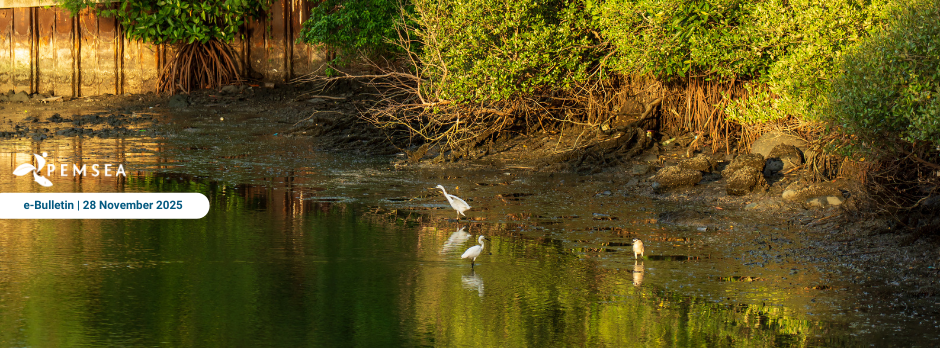 eBulletin - Nov 2025